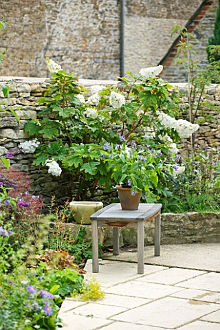 DESIGNER_ANNE_FOWLER__VIEW_DOWN_SIDE_OF_THE_HOUSE__WOODEN_TABLE_ON_PATIO_WITH_HYDRANGEA_QUERCIFOLIA