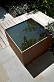 DESIGNERS WYNNIAT- HUSEY CLARKE: MODERN  CONTEMPORARY TOWN GARDEN IN BRIGHTON - SQUARE METAL WATER FEATURE WITH SHADOW/ REFLECTION OF ARALIA  WOODEN PANEL WALLS AND ORANGE PANEL