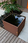 DESIGNERS WYNNIAT- HUSEY CLARKE: MODERN  CONTEMPORARY TOWN GARDEN IN BRIGHTON - SQUARE METAL WATER FEATURE WITH SHADOW/ REFLECTION OF ARALIA  DECKING