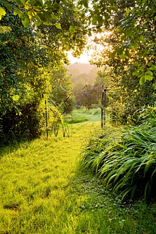 MOORS_MEADOW_GARDEN__NURSERY__HEREFORDSHIRE_GRASS_PATH_LEADING_OUT_OF_GRASS_GARDEN_WITH_BEAUTIFUL_IR