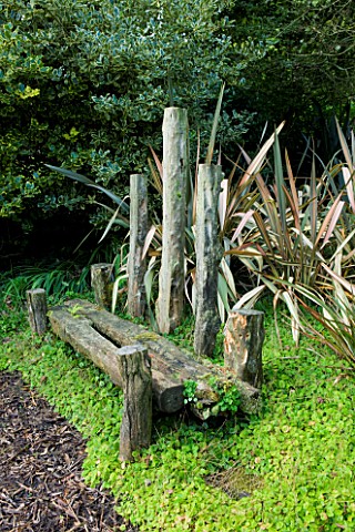 MOORS_MEADOW_GARDEN__NURSERY__HEREFORDSHIRE_WOODEN_SEATBENCH_BESIDES_PHORMIUMS
