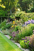 MEADOW FARM  WORCESTERSHIRE: THE LONG BORDER - NORTH SIDE WITH PURPLE/YELLOW THEMED PERENNIAL PLANTING
