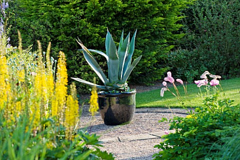MEADOW_FARM__WORCESTERSHIRE_STONE_CIRCLE_WITH_AGAVE_AMERICANA_IN_BLACK_CONTAINER_TO_THE_LEFT_IS_LIGU