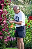 MEADOW FARM  WORCESTERSHIRE: ROBERT COLE DEADHEADING CLEMATIS IN THE GARDEN