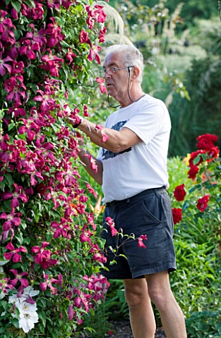 MEADOW_FARM__WORCESTERSHIRE_ROBERT_COLE_DEADHEADING_CLEMATIS_IN_THE_GARDEN
