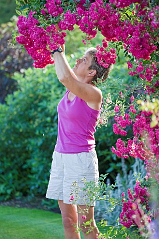 MEADOW_FARM__WORCESTERSHIRE_DIANE_COLE_DEADHEADING_ROSES_IN_THE_GARDEN