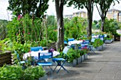 THE RIVER CAFE RESTAURANT  LONDON: GARDEN - BLUE TABLES AND CHAIRS IN BETWEEN RAISED BEDS IN THE VEGETABLE GARDEN