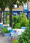 THE RIVER CAFE RESTAURANT  LONDON: GARDEN - BLUE TABLES AND CHAIRS IN BETWEEN RAISED BEDS IN THE VEGETABLE GARDEN WITH THE RESTAURANT BEHIND