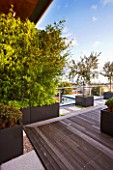 DESIGNER: CHARLOTTE ROWE  LONDON: ROOF GARDEN - WOODEN DECKING WITH RAISED BED PLANTED WITH BAMBOO - PHYLLOSTACHYS AUREA, DECKS, DECKING, FORMAL, TOWN, CITY, CONTEMPORARY
