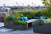DESIGNER: CHARLOTTE ROWE  LONDON: ROOF GARDEN - A PLACE TO SIT - DECKED SEATING AREA WITH BLUE CUSHIONS AND HERBS - SAGE DECKS, DECKING, FORMAL, TOWN, CITY, CONTEMPORARY CAMOMILE  VERBENA BONARIENSIS  ALLIUMS,