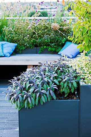 DESIGNER_CHARLOTTE_ROWE__LONDON_ROOF_GARDEN__A_PLACE_TO_SIT__DECKED_SEATING_AREA_WITH_BLUE_CUSHIONS_