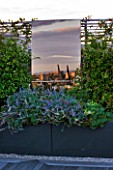 DESIGNER: CHARLOTTE ROWE  LONDON: ROOF GARDEN - BRONZED GLASS MIRROR ON TRELLIS WALL WITH CITYSCAPE AND SKY REFLECTIONS, REFLECTED, SCREEN, SCREENED, SCREENING