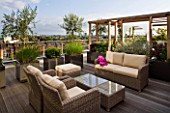 DESIGNER: CHARLOTTE ROWE  LONDON: ROOF GARDEN - A PLACE TO SIT - WICKER FURNITURE AND WOODEN PERGOLA WITH CONTAINERS PLANTED WITH OLIVE TREES  PENNISETUM HAMELYN AND  PINUS MUGO, DECKS, DECKING, SCREENING