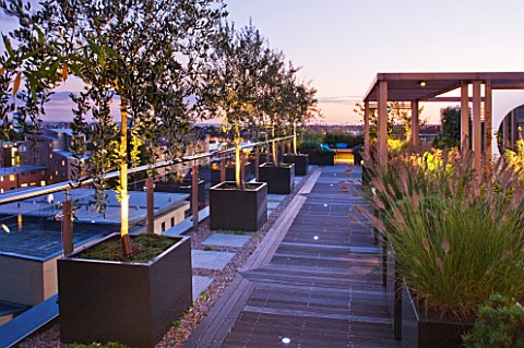 DESIGNER_CHARLOTTE_ROWE__LONDON_ROOF_GARDEN__DECKED_WALKWAY_PAST_WOODEN_PERGOLA_AND_CONTAINERS_PLANT