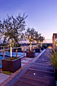 DESIGNER: CHARLOTTE ROWE  LONDON: ROOF GARDEN - DECKED WALKWAY PAST WOODEN PERGOLA AND CONTAINERS PLANTED WITH PENNISETUM HAMELYN AND OLIVE TREES - LIT UP AT NIGHT,MODERN, TOWN, CITY, FORMAL, LIGHTS, LIGHTING