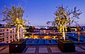 DESIGNER: CHARLOTTE ROWE  LONDON: ROOF GARDEN - CONTAINERS PLANTED WITH OLIVE TREES AND VIEWS OF LONDON BEYOND LIT UP AT NIGHT, LIGHTING, LIGHTS, FORMAL, TOWN, CITY, CONTEMPORARY