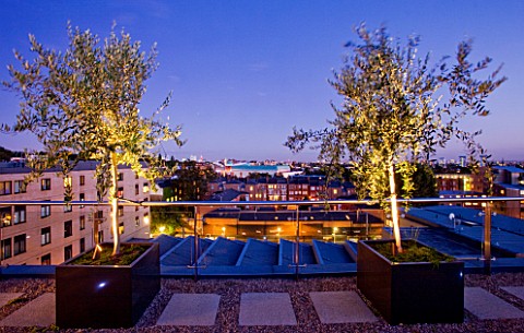 DESIGNER_CHARLOTTE_ROWE__LONDON_ROOF_GARDEN__CONTAINERS_PLANTED_WITH_OLIVE_TREES_AND_VIEWS_OF_LONDON