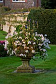 THE OLD RECTORY  HASELBECH  NORTHAMPTONSHIRE: LAWN WITH STONE CONTAINER PLANTED WITH WHITE PELARGONIUMS