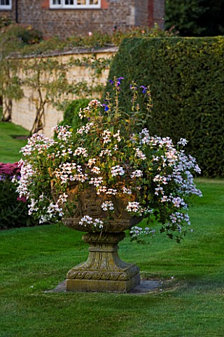 THE_OLD_RECTORY__HASELBECH__NORTHAMPTONSHIRE_LAWN_WITH_STONE_CONTAINER_PLANTED_WITH_WHITE_PELARGONIU