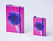 GIFTED PRODUCT - A4 & A5 NOTEBOOKS WITH CLIVE NICHOLS FLORAL IMAGE OF ECHINOPS