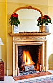 DESIGNER CLARE MATTHEWS: HOUSE PLANT - CHRISTMAS - FIREPLACE WITH MIRROR  WITH SILVER BAGS HOLDING CONTAINERS PLANTED WITH POINSETTIAS - EUPHORBIA PULCHERIMMA