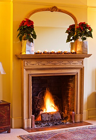 DESIGNER_CLARE_MATTHEWS_HOUSE_PLANT__CHRISTMAS__FIREPLACE_WITH_MIRROR__WITH_SILVER_BAGS_HOLDING_CONT