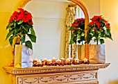 DESIGNER CLARE MATTHEWS: HOUSE PLANT - CHRISTMAS - FIREPLACE WITH MIRROR  WITH CANDLES AND SILVER BAGS HOLDING CONTAINERS PLANTED WITH POINSETTIAS - EUPHORBIA PULCHERIMMA