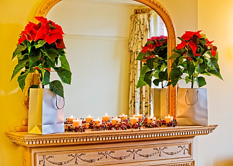 DESIGNER_CLARE_MATTHEWS_HOUSE_PLANT__CHRISTMAS__FIREPLACE_WITH_MIRROR__WITH_CANDLES_AND_SILVER_BAGS_