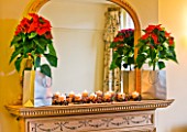 DESIGNER CLARE MATTHEWS: HOUSE PLANT - CHRISTMAS - FIREPLACE WITH MIRROR  WITH CANDLES AND SILVER BAGS HOLDING CONTAINERS PLANTED WITH POINSETTIAS - EUPHORBIA PULCHERIMMA