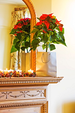 DESIGNER_CLARE_MATTHEWS_HOUSE_PLANT__CHRISTMAS__FIREPLACE_WITH_MIRROR__WITH_CANDLES_AND_SILVER_BAG_H
