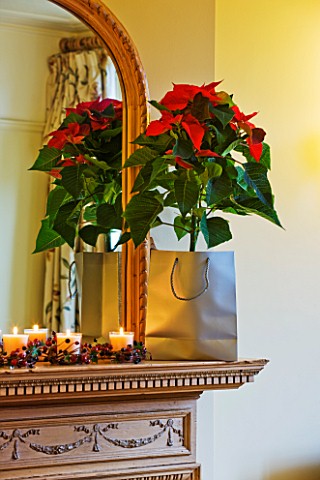 DESIGNER_CLARE_MATTHEWS_HOUSE_PLANT__CHRISTMAS__FIREPLACE_WITH_MIRROR__WITH_CANDLES_AND_SILVER_BAG_H