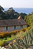 DOMAINE DU RAYOL  FRANCE: CACTI IN THE ARID AMERICAN GARDEN WITH THE GARDENERS CAFE AND MEDITTERANEAN SEA BEYOND