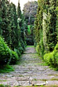 DOMAINE DU RAYOL  FRANCE: VIEW DOWN THE GRAND STAIRCASE FLANKED BY TWO ROWS OF CYPRESS TREES