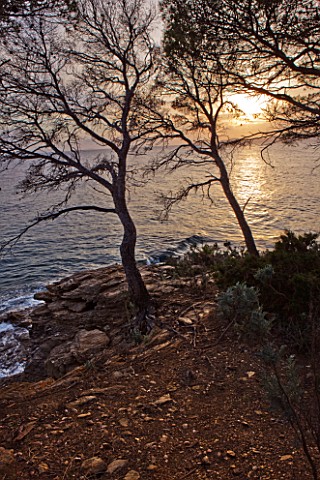 DOMAINE_DU_RAYOL__FRANCE_VIEW_DOWN_TO_THE_MEDITERRANEAN_SEA_FROM_THE_POINTE_DU_FIGUIER__EVENING_LIGH