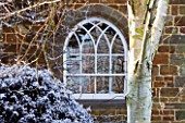 PETTIFERS  OXFORDSHIRE: GARDEN IN SNOW IN WINTER - VIEW TO THE BACK OF THE HOUSE WITH WHITE TRUNK OF BIRCH (BETULA JACQUEMONTII)