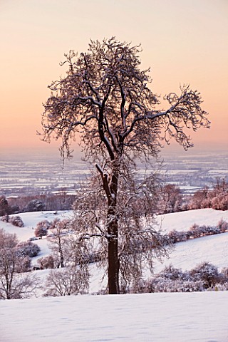 VIEW_FROM_FISH_HILL_IN_WINTER_WITH_SNOW_TO_TREE_AND_HILLS_BEYOND