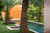 DESIGNERS ERIC OSSART AND ARNAUD MAURIERES  MOROCCO: AL HOSSOUN - ORANGE WALL WITH PALM TREES  LAWN  AND BLUE POOL