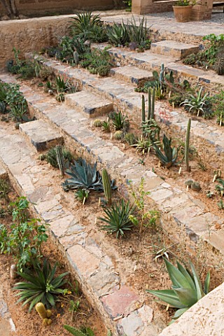 DESIGNERS_ERIC_OSSART_AND_ARNAUD_MAURIERES__MOROCCO_AL_HOSSOUN__THE_SUNKEN_GARDEN_PLANTED_WITH_SUCCU