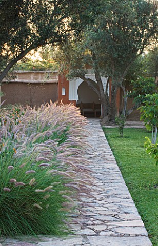 DESIGNERS_ERIC_OSSART_AND_ARNAUD_MAURIERES__MOROCCO_DAR_IGDAD__BORDER_OF_PENNISETUM_SETACEUM_WITH_PA