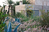 DESIGNERS ERIC OSSART AND ARNAUD MAURIERES  MOROCCO: DAR IGDAD - DRY GARDEN WITH BORDER OF PENNISETUM SETACEUM AND AGAVES