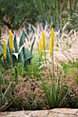 DESIGNERS ERIC OSSART AND ARNAUD MAURIERES  MOROCCO: DAR IGDAD - DRY GARDEN WITH BORDER OF PENNISETUM SETACEUM  AGAVES AND ALOE VERA
