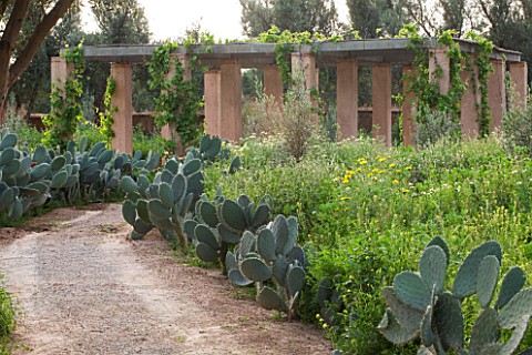 DESIGNERS_ERIC_OSSART_AND_ARNAUD_MAURIERES__MOROCCO_DAR_IGDAD__DRY_GARDEN_WITH_BORDER_OF_CACTUS__OPU