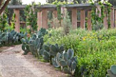 DESIGNERS ERIC OSSART AND ARNAUD MAURIERES  MOROCCO: DAR IGDAD - DRY GARDEN WITH BORDER OF CACTUS - OPUNTIA FICUS - INDICA   THE BARBARY FIG