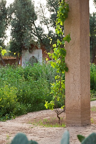 DESIGNERS_ERIC_OSSART_AND_ARNAUD_MAURIERES__MOROCCO_DAR_IGDAD__THE_DRY_GARDEN