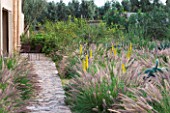 DESIGNERS ERIC OSSART AND ARNAUD MAURIERES  MOROCCO: DAR IGDAD - DRY GARDEN WITH BORDER OF CACTUS  PENNISETUM SETACEUM AND OPUNTIA FICUS - INDICA   THE BARBARY FIG