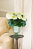 DESIGNER CLARE MATTHEWS: HOUSEPLANT PROJECT - WHITE HYDRANGEA IN GREE WIREWORK URN IN THE FRONT ROOM ON A WOODEN PEDESTAL