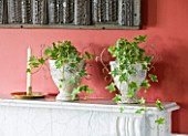 DESIGNER CLARE MATTHEWS: HOUSEPLANT PROJECT - WHITEWASHED CONTAINERS ON MANTELPIECE PLANTED WITH VARIEGATED IVY