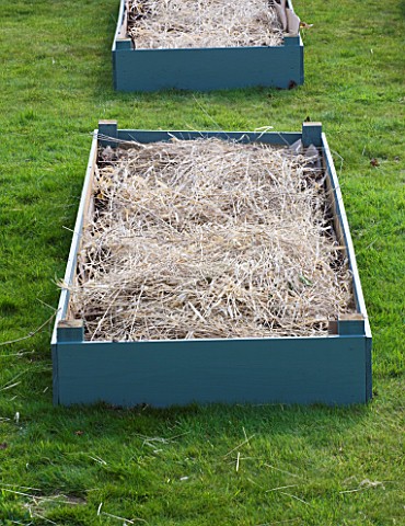 DESIGNER_CLARE_MATTHEWS_FRUIT_GARDEN_PROJECT__DEEP_MULCHED_RAISED_BED__HAY_ADDED_TO_SOIL