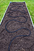 DESIGNER CLARE MATTHEWS: FRUIT GARDEN PROJECT - LOW MAINTENANCE STRAWBERRY BED - SEEP HOSE LAID ON THE SOIL IN A RAISED BED