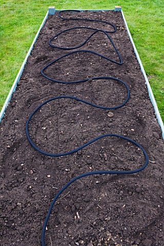 DESIGNER_CLARE_MATTHEWS_FRUIT_GARDEN_PROJECT__LOW_MAINTENANCE_STRAWBERRY_BED__SEEP_HOSE_LAID_ON_THE_